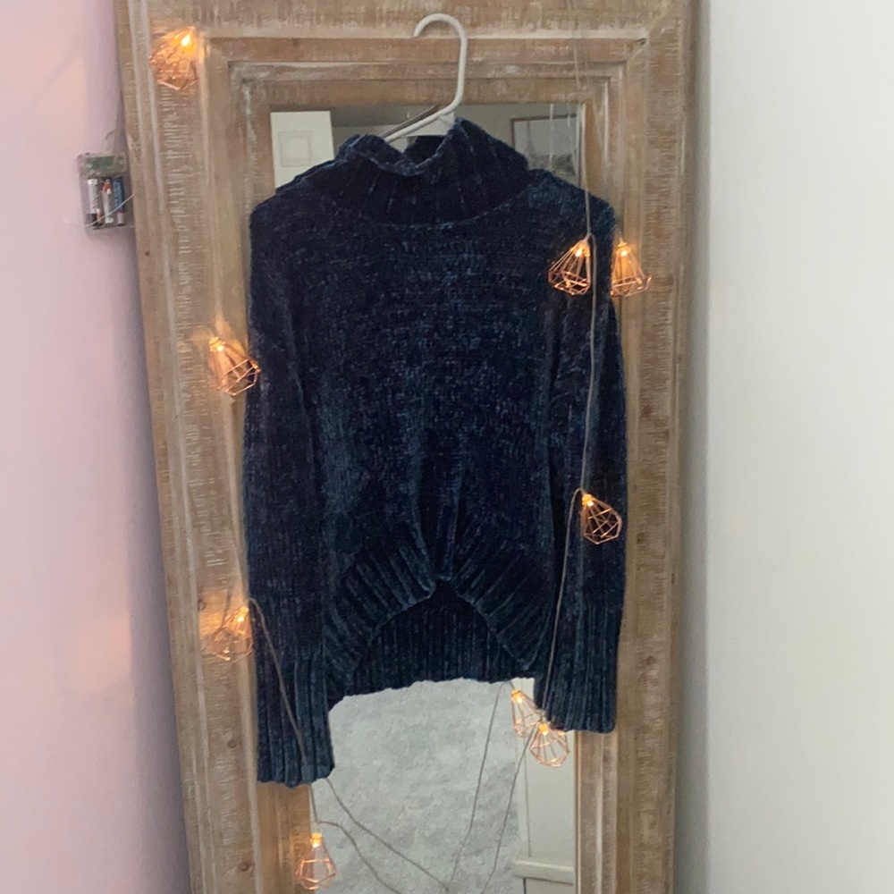 This is a velvet turtle neck
